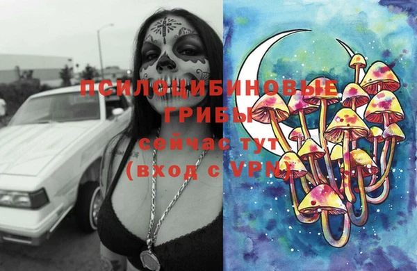 скорость Заводоуковск