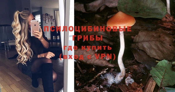 соль ск Зеленодольск