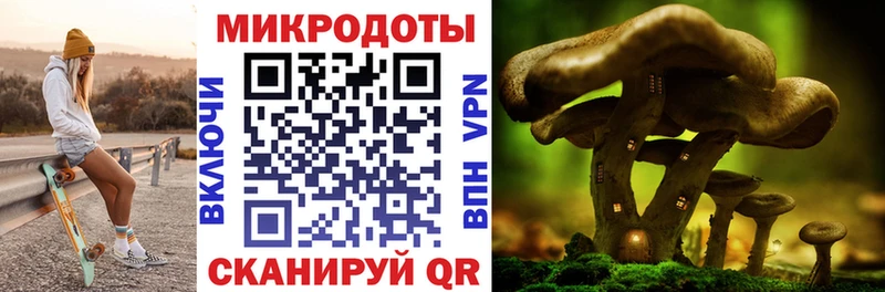 Галлюциногенные грибы MAGIC MUSHROOMS  Купить  Порхов 
