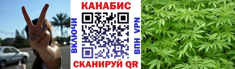 Купить  Порхов  Бошки Шишки планчик 